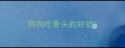 狗狗吃骨头的好处