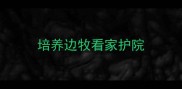 培养边牧看家护院