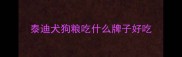 泰迪犬狗粮吃什么牌子好吃