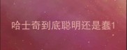 哈士奇到底聪明还是蠢