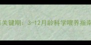 狗狗骨骼发育关键期3-12月龄科学喂养指南与常见误区