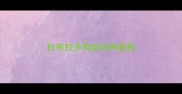 拉布拉多狗苗纯种鉴别