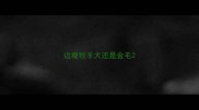 边境牧羊犬还是金毛