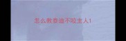 怎么教泰迪不咬主人