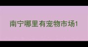 南宁哪里有宠物市场