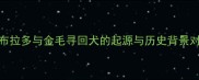 拉布拉多与金毛寻回犬的起源与历史背景对比