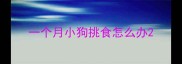 一个月小狗挑食怎么办