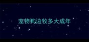 宠物狗边牧多大成年