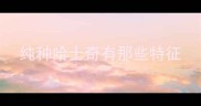 纯种哈士奇有那些特征