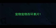 宠物宠物西环素片