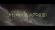 边牧幼犬吃完不排便