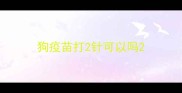 狗疫苗打2针可以吗