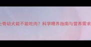 哈士奇幼犬能不能吃肉科学喂养指南与营养需求全