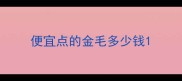 便宜点的金毛多少钱