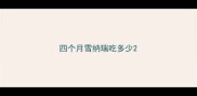 四个月雪纳瑞吃多少