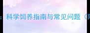 边境牧羊犬全攻略科学饲养指南与常见问题附最新养护数据