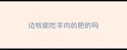 边牧能吃羊肉的肥的吗