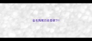 金毛狗尾巴老是朝下