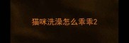 猫咪洗澡怎么乖乖