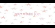 狗狗生眼屎用什么药