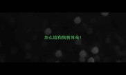 怎么给狗狗剪耳朵