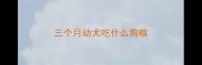三个月幼犬吃什么狗粮