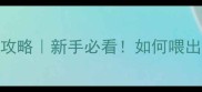 满月小狗科学喂养全攻略新手必看如何喂出健康活泼的奶狗子