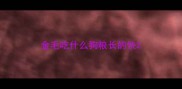 金毛吃什么狗粮长的快