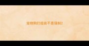 宠物狗打疫苗不是强制