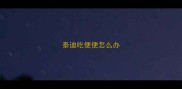 泰迪吃便便怎么办