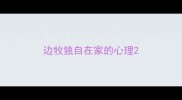 边牧独自在家的心理