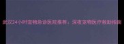 武汉24小时宠物急诊医院推荐深夜宠物医疗救助指南