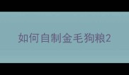 如何自制金毛狗粮