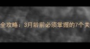 边境牧羊犬幼犬训练全攻略3月龄前必须掌握的7个关键点附保姆级教程