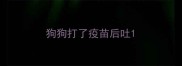 狗狗打了疫苗后吐