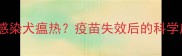 狗狗接种疫苗后感染犬瘟热疫苗失效后的科学应对与预防指南