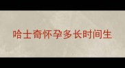 哈士奇怀孕多长时间生