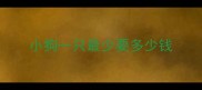 小狗一只最少要多少钱
