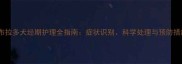 拉布拉多犬经期护理全指南症状识别科学处理与预防措施