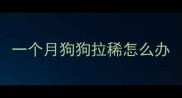 一个月狗狗拉稀怎么办