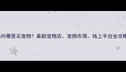 福州哪里买宠物最新宠物店宠物市场线上平台全攻略