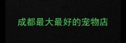 成都最大最好的宠物店
