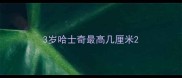 3岁哈士奇最高几厘米