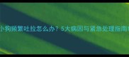 小狗频繁吐拉怎么办5大病因与紧急处理指南