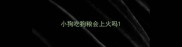 小狗吃狗粮会上火吗