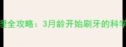 宠物幼犬口腔护理全攻略3月龄开始刷牙的科学方法与注意事项