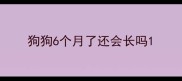 狗狗6个月了还会长吗