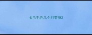 金毛毛色几个月变身