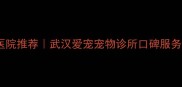 武汉宠物医院推荐武汉爱宠宠物诊所口碑服务大公开