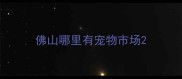 佛山哪里有宠物市场